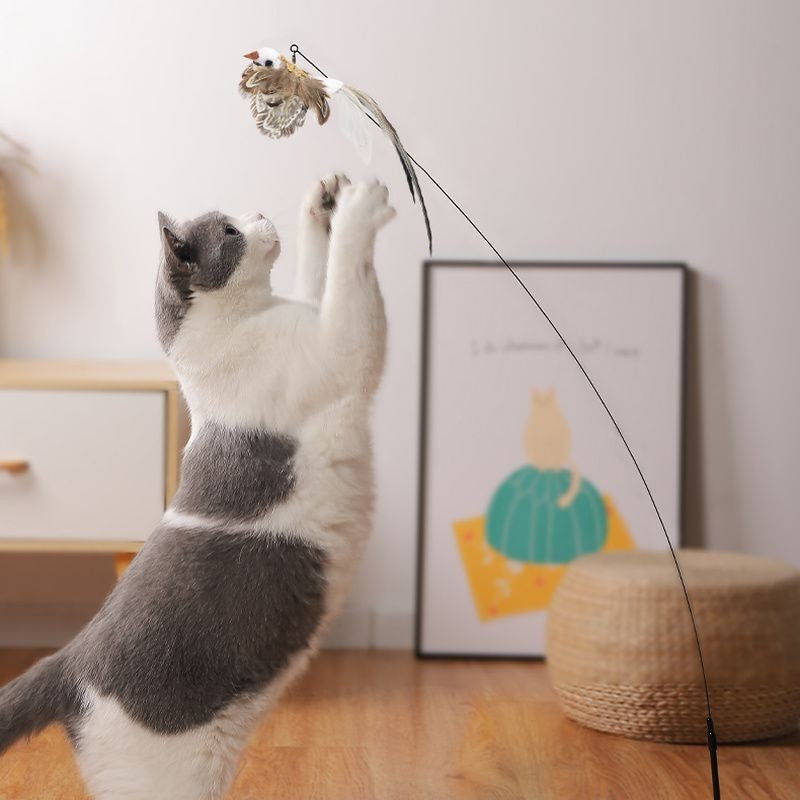 Brinquedo para gato pássaro interativo